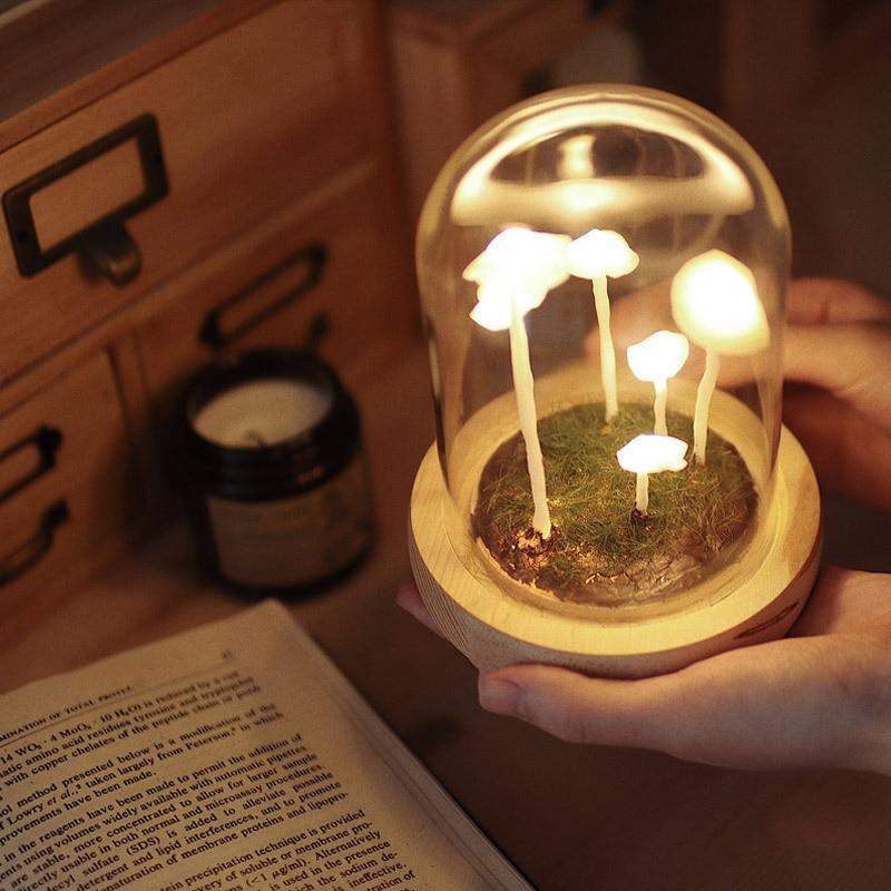 Coltivazione domestica con un tocco di magia