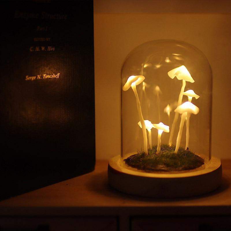 Coltivazione domestica con un tocco di magia