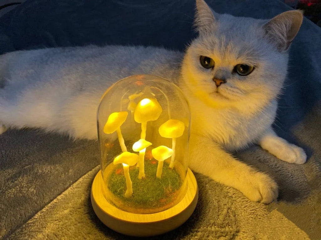 Coltivazione domestica con un tocco di magia