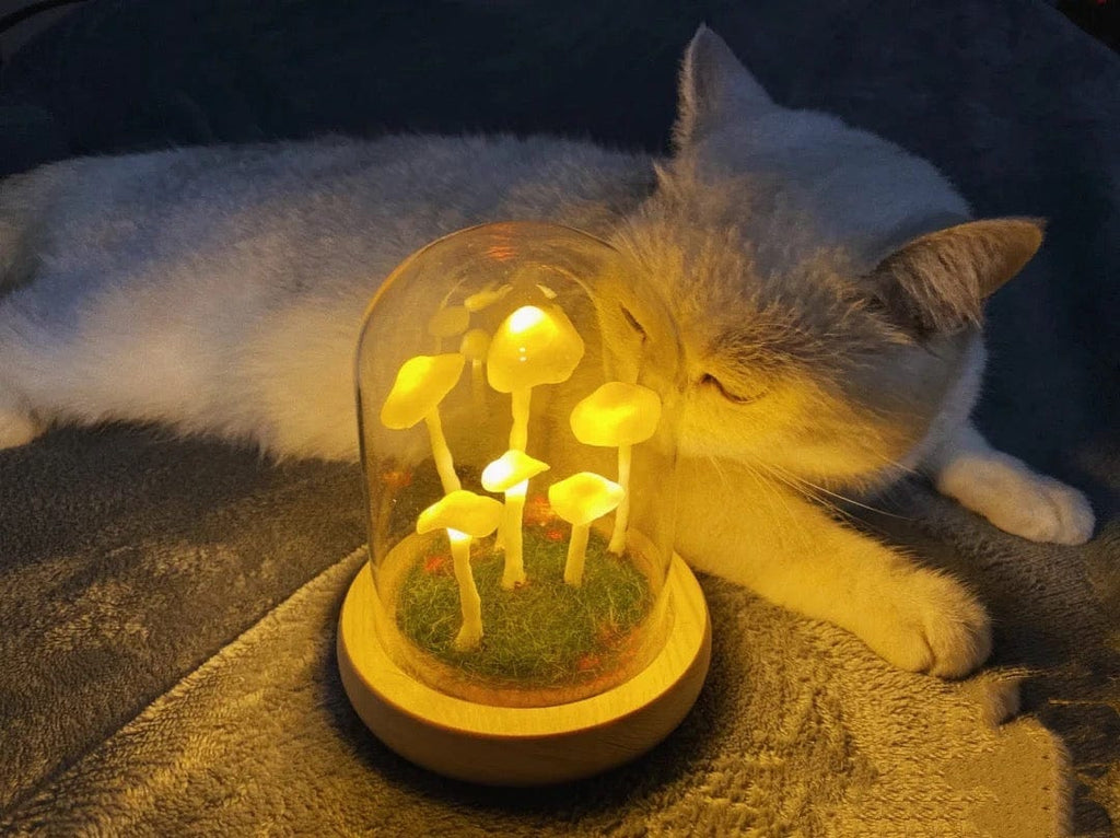 Coltivazione domestica con un tocco di magia