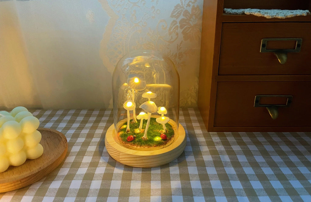 Coltivazione domestica con un tocco di magia
