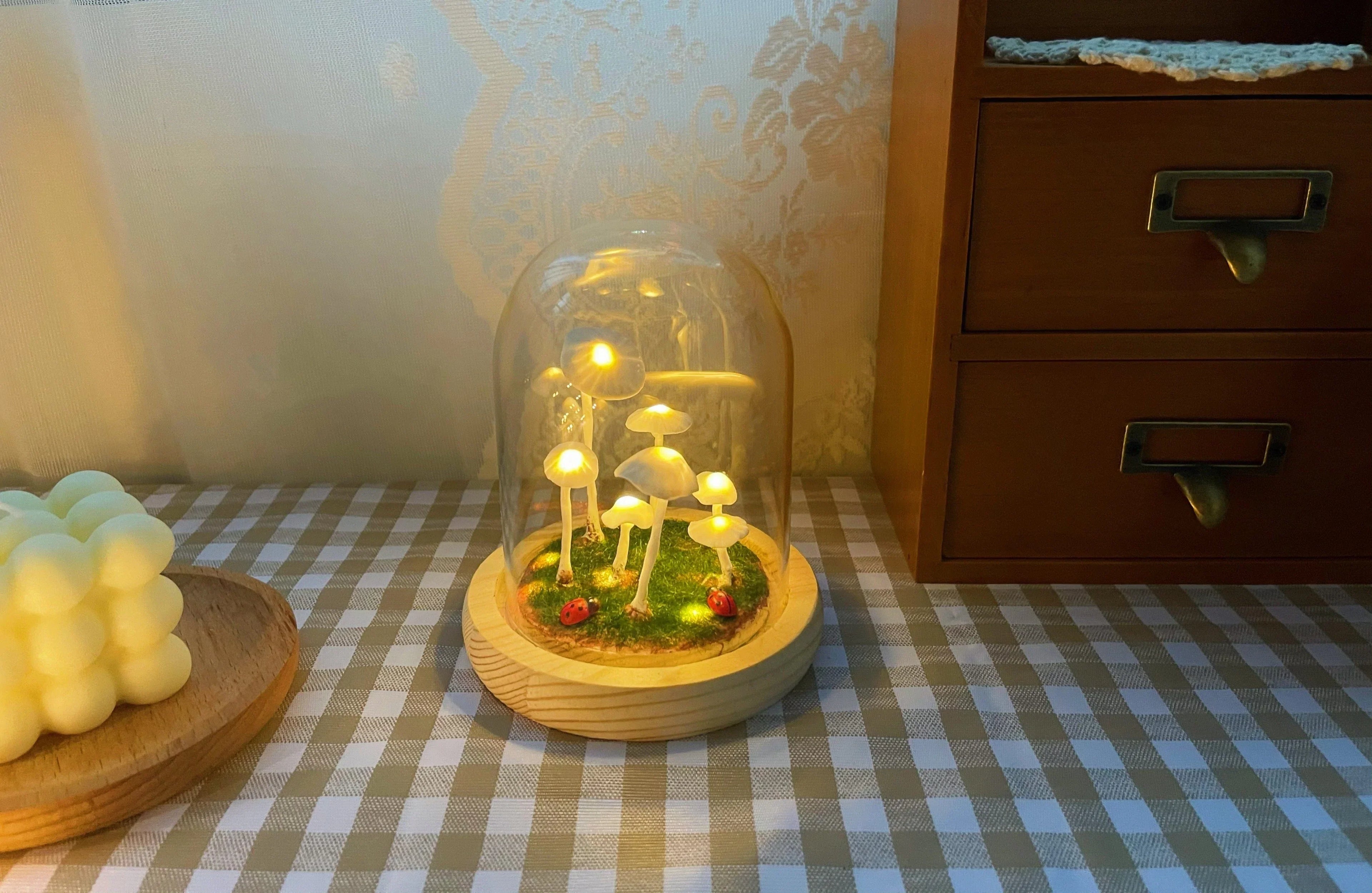 Coltivazione domestica con un tocco di magia