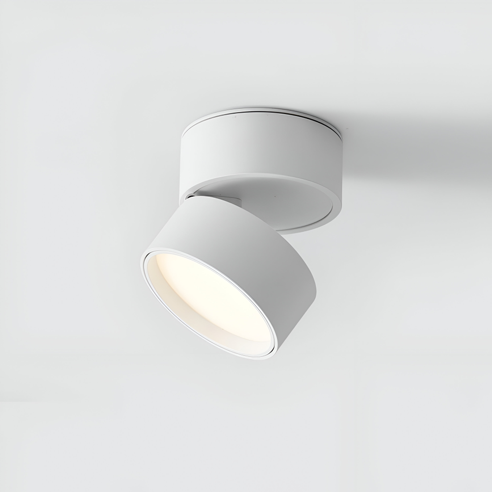 Lumeon – Lampada da soffitto a spot LED moderna e regolabile in alluminio