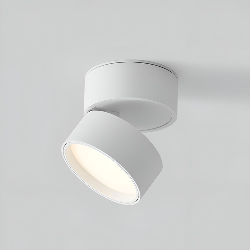 Lumeon – Lampada da soffitto a spot LED moderna e regolabile in alluminio