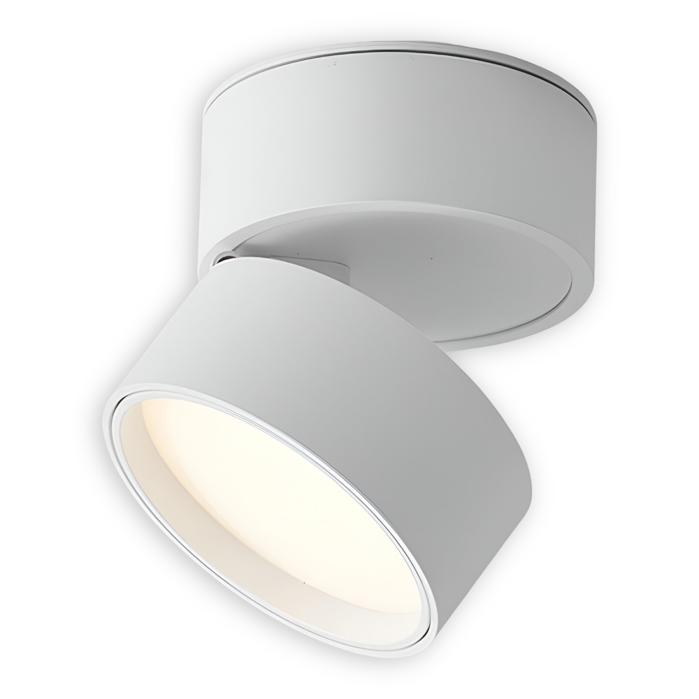 Lumeon – Lampada da soffitto a spot LED moderna e regolabile in alluminio