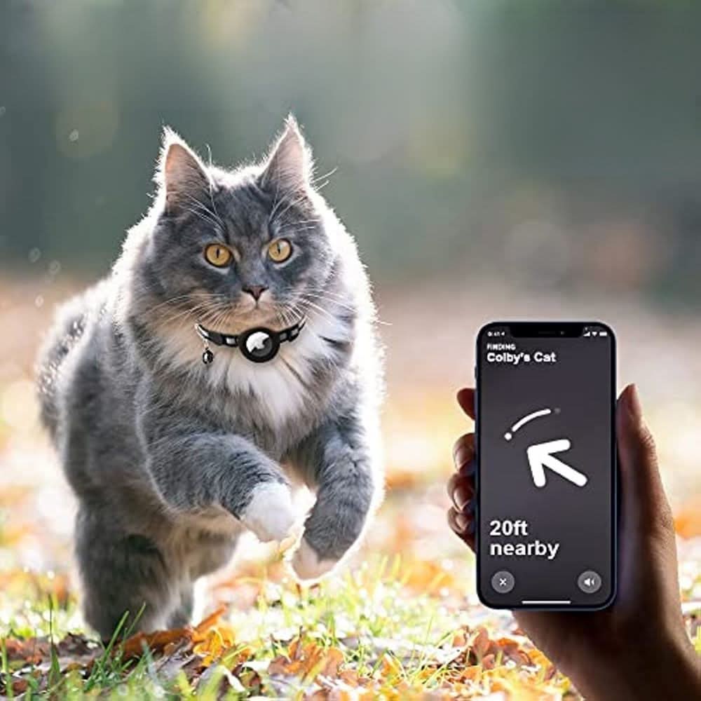 CATSAFE TRACK – Collare GPS per sicurezza e visibilità per gatti
