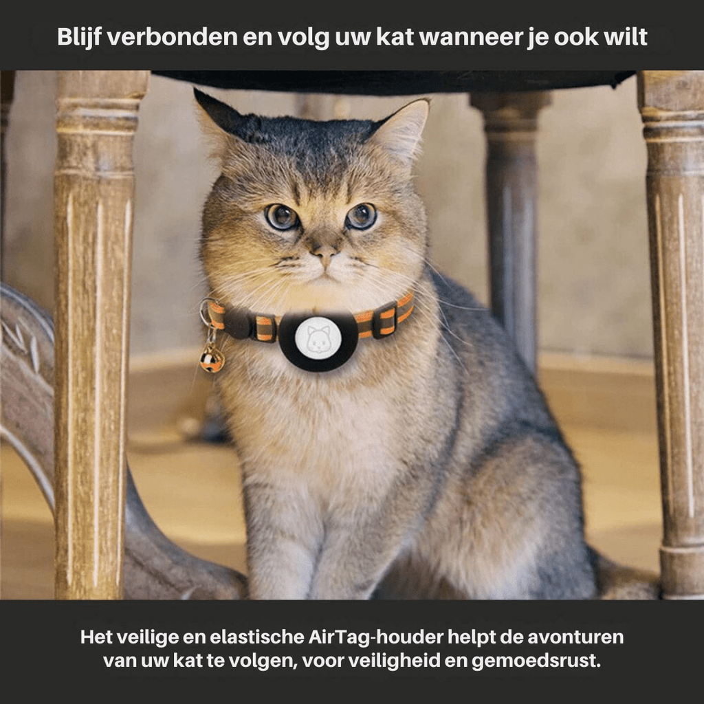 CATSAFE TRACK – Collare GPS per sicurezza e visibilità per gatti