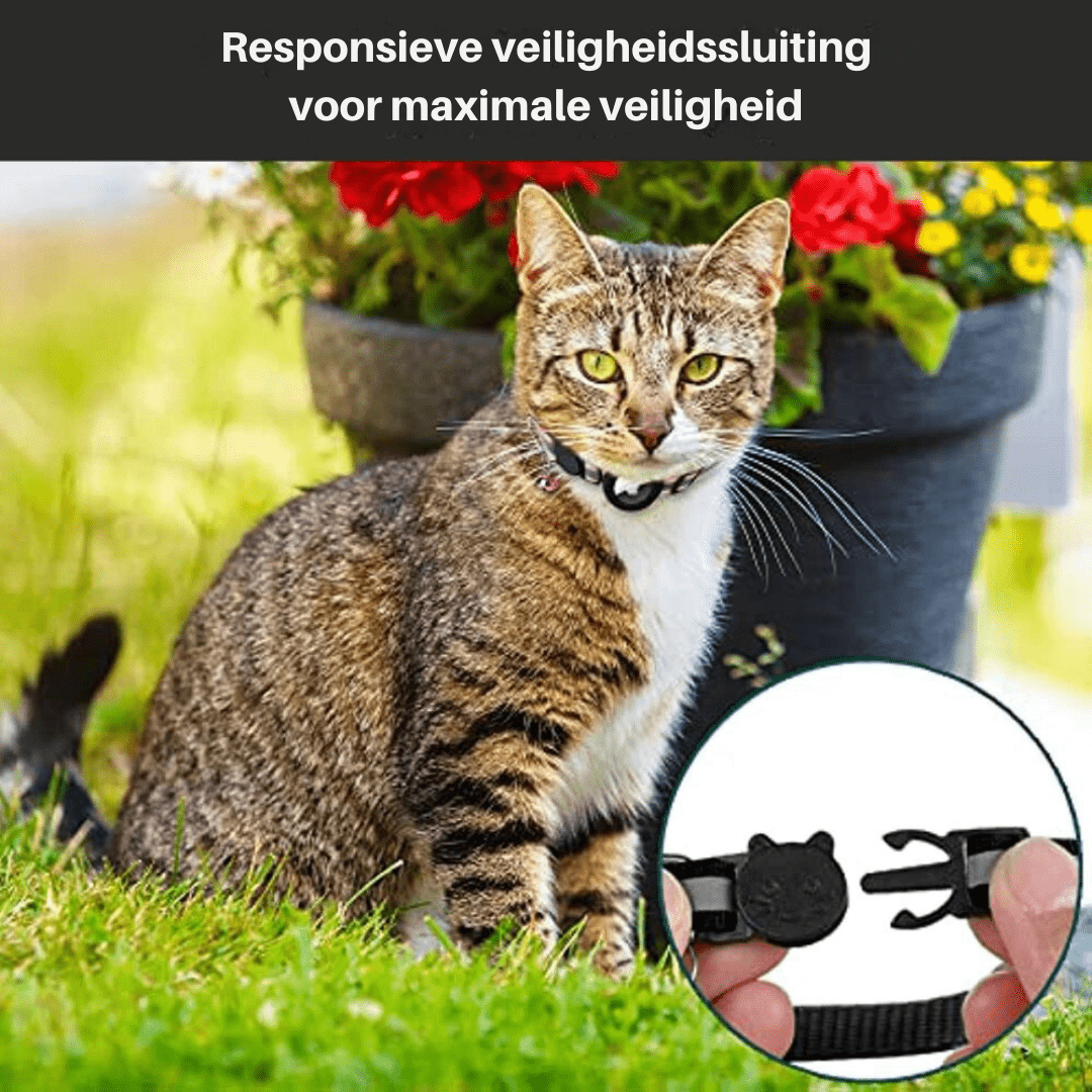 CATSAFE TRACK – Collare GPS per sicurezza e visibilità per gatti