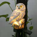 Lampada da Giardino | Lampada a Gufo Esterno | Lampada Solare Automatica | NightOwl