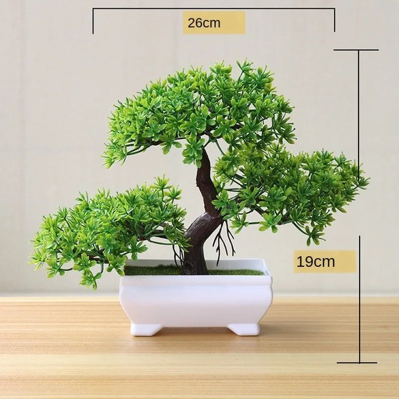 Piccole Piante Bonsai in Vaso