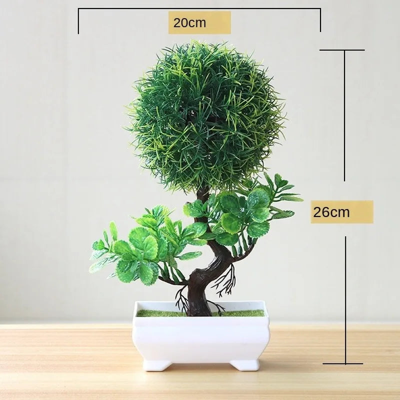 Piccole Piante Bonsai in Vaso