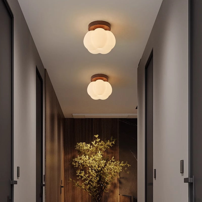 Lampada da soffitto | Moderna ed efficiente dal punto di vista energetico