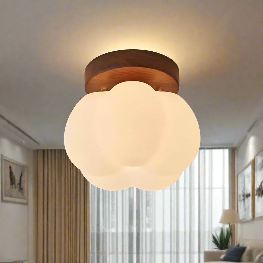 Lampada da soffitto | Moderna ed efficiente dal punto di vista energetico