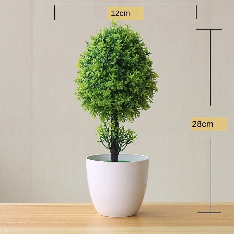 Piccole Piante Bonsai in Vaso