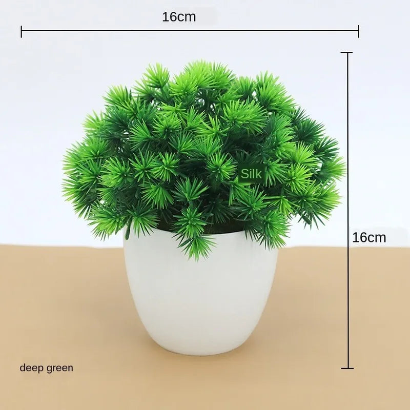 Piccola Tre Pot Pot Bonsai