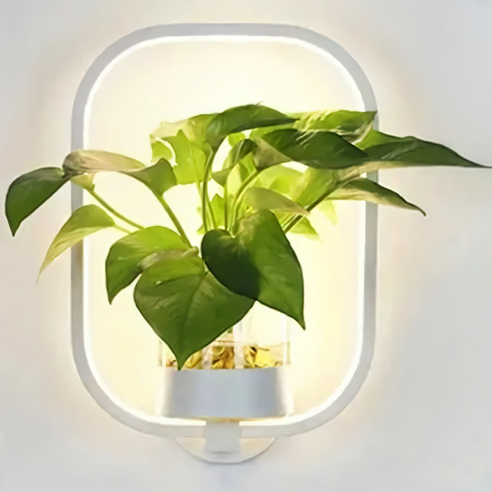 LumiGrow – Lampada da Parete LED Minimalista con Portavaso Integrato