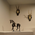 Immagine - Adonisma - Design Cavallo - Ornamentale in Metallo
