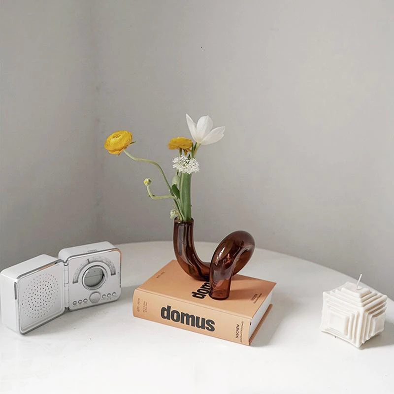 Vexor | Vaso Idroponico in Vetro Vaso Decorativo a Loop per Fiori per Scrivania Tavolo e Decorazione Moderna per la Casa