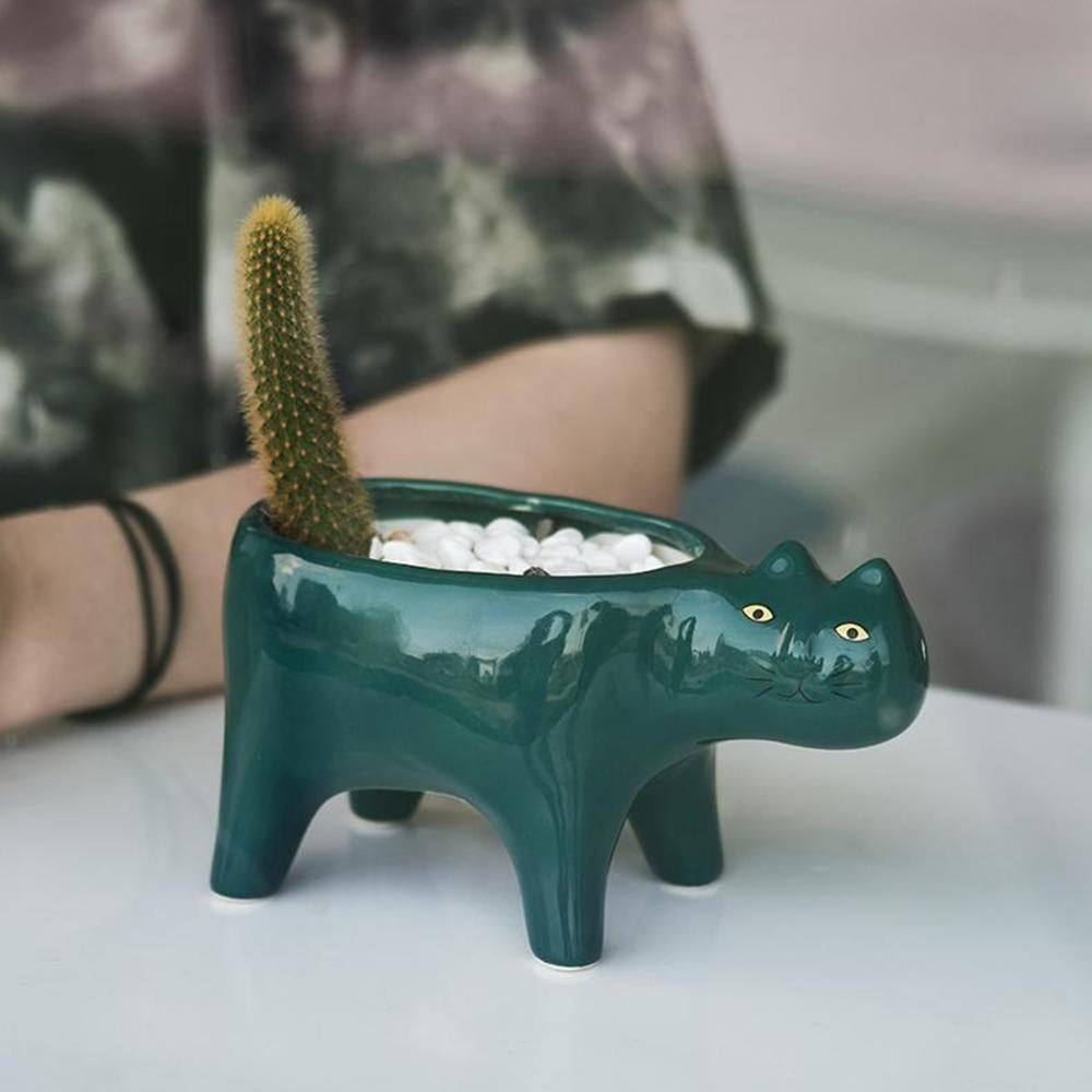 Kat Pot