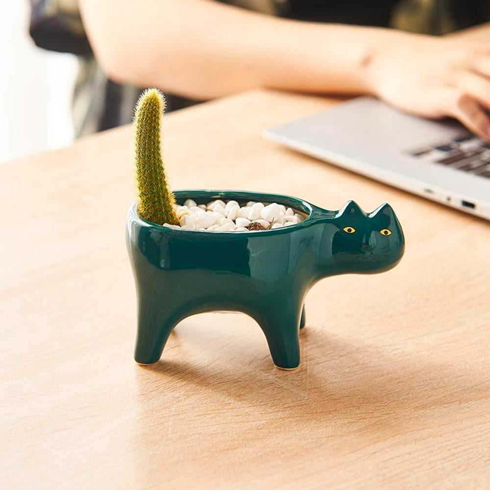 Kat Pot
