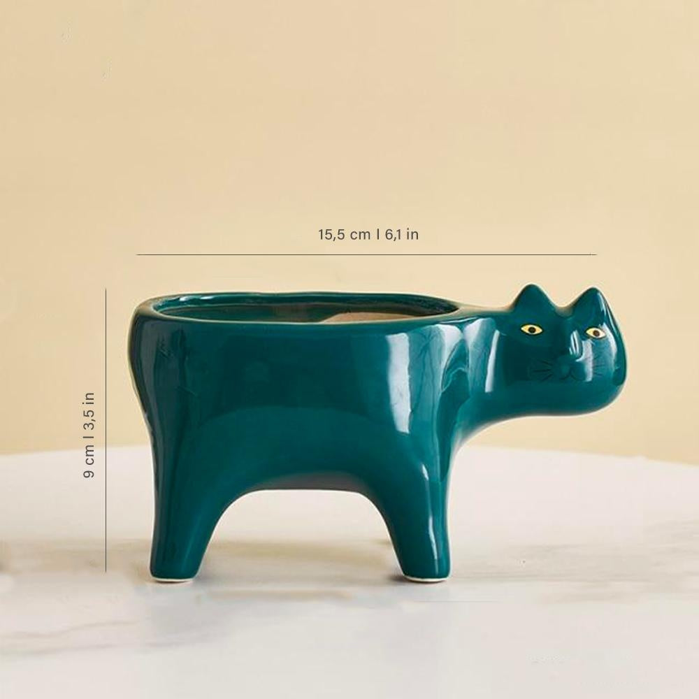 Kat Pot