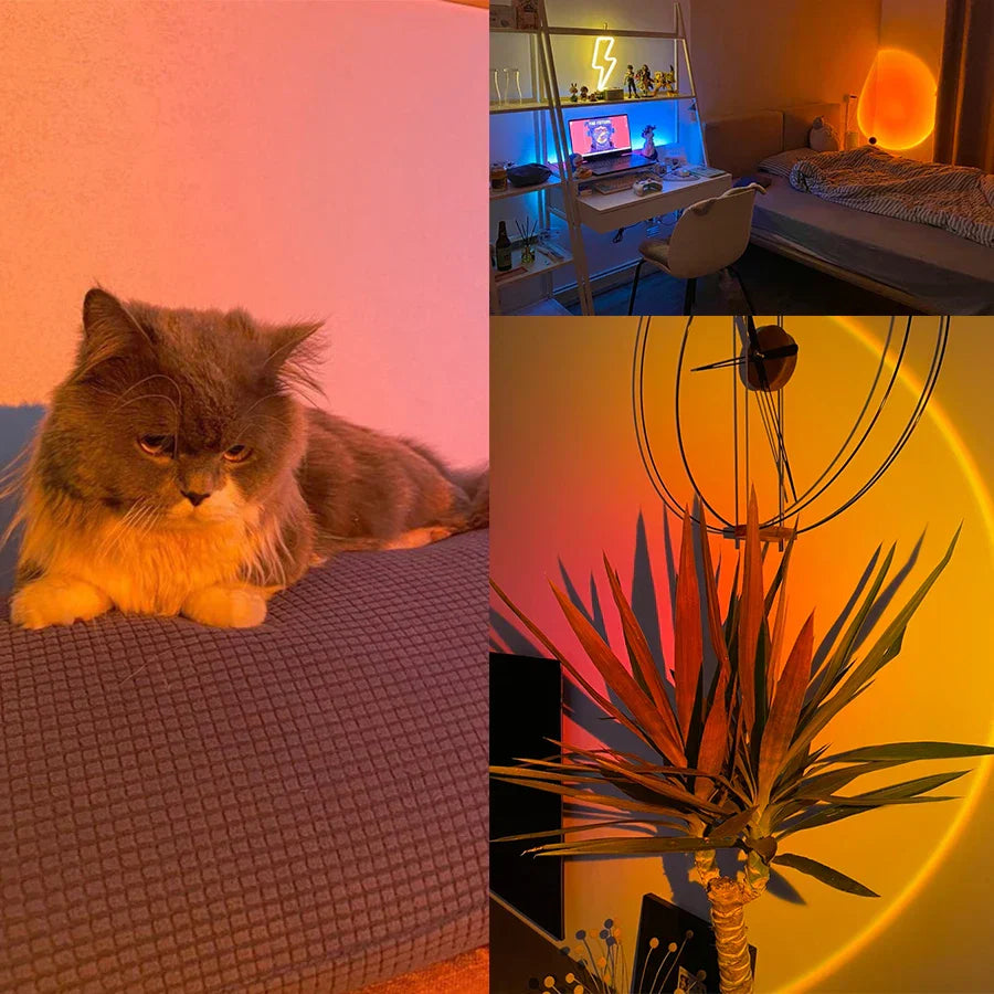 Lampada LED decorativa con un incantevole bagliore