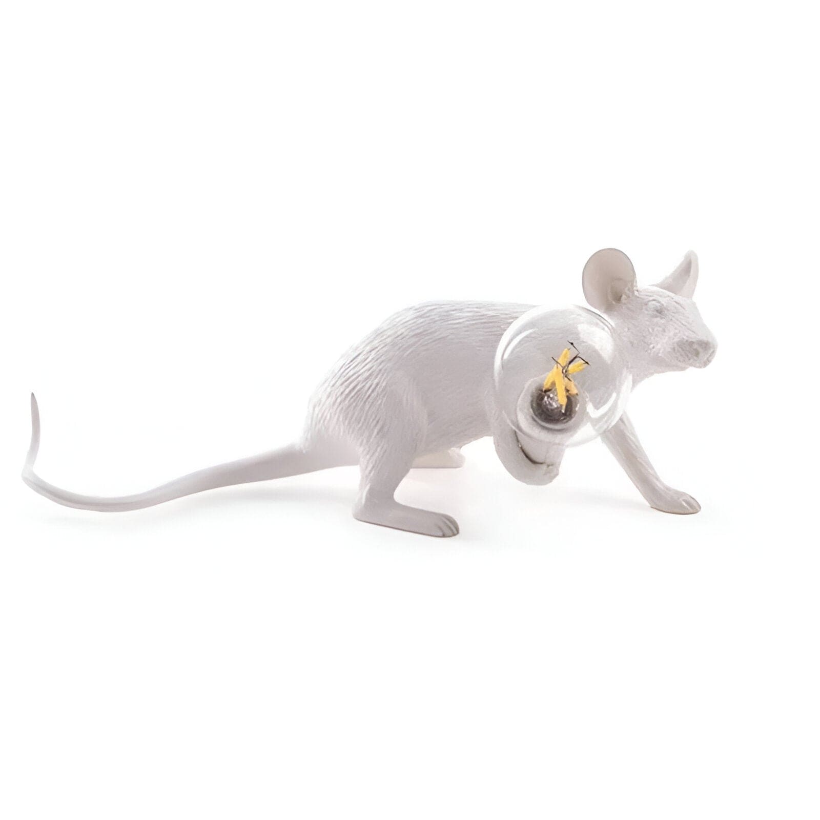 Luci notturne in resina animale