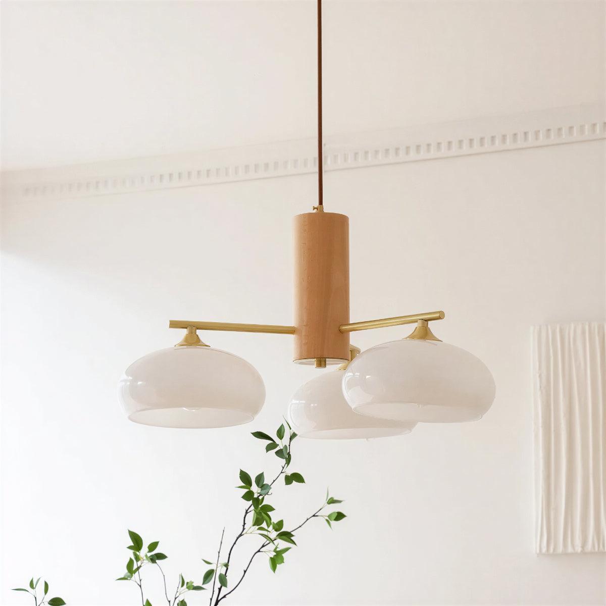 Lampadario da Pranzo Mid Century