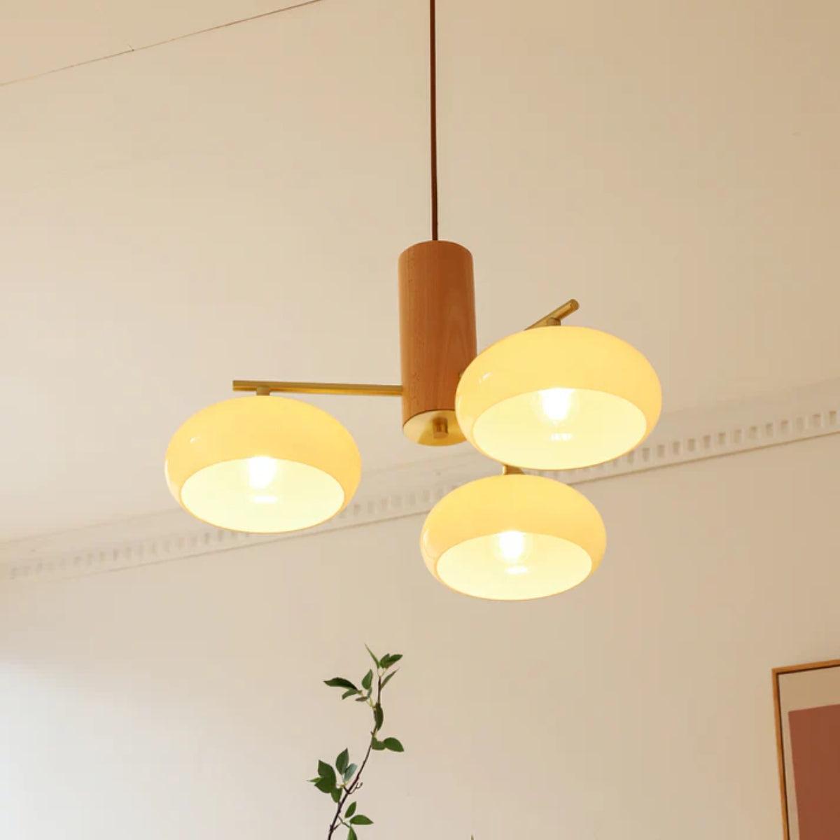 Lampadario da Pranzo Mid Century