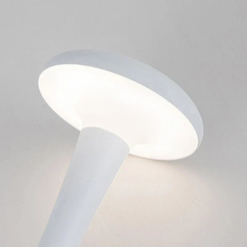 Lunvia - Lampada da Stanza Dimmerabile Moderna con Batteria Ricaricabile USB-C
