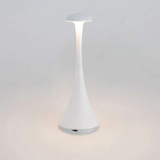 Lunvia - Lampada da Stanza Dimmerabile Moderna con Batteria Ricaricabile USB-C