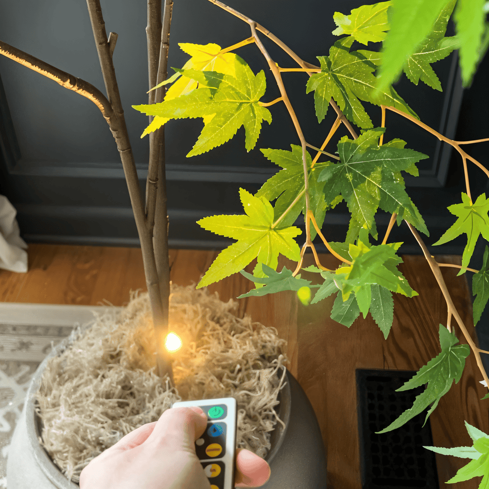 SpotMaster – Faretti LED dimmerabili con illuminazione accentuata senza fili