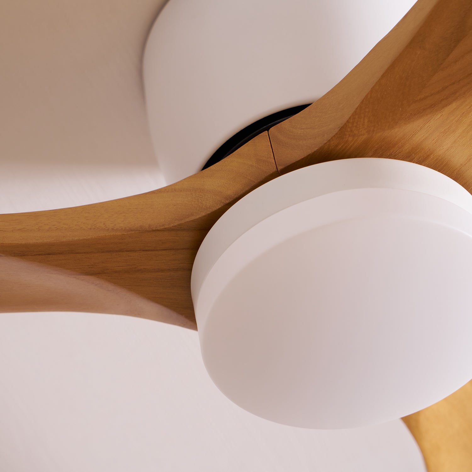 Arvienne | Ventilatore da soffitto in legno nordico con luce LED per camere moderne