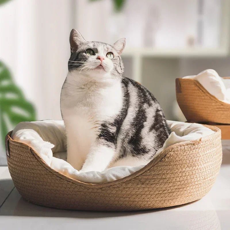 BAMBOONEST – Divano per gatti ecologico con design in cotone traspirante