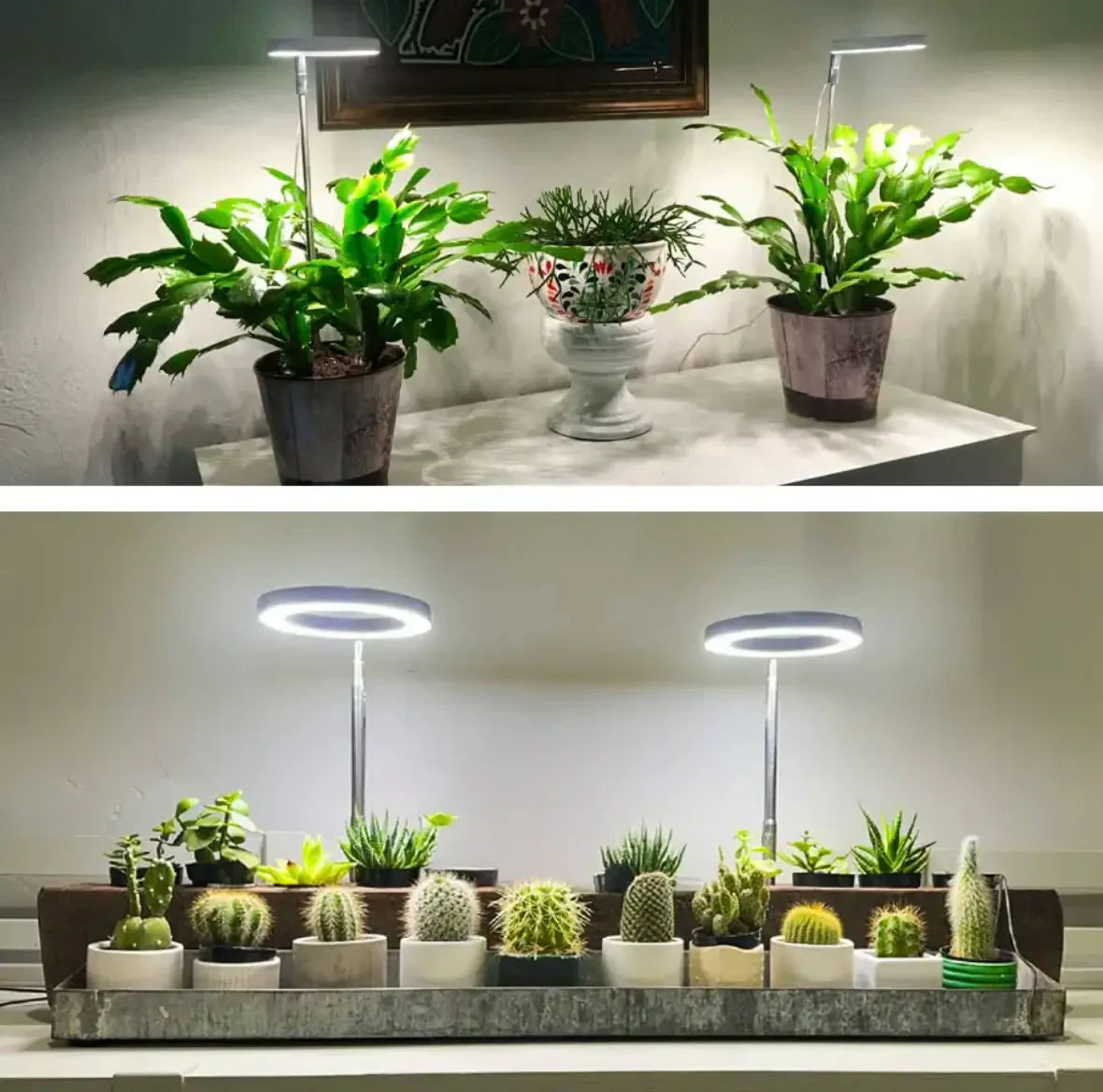 Lampada per piante | Luce di crescita a spettro completo | Timer e funzione di dimmerazione | PlantGlow