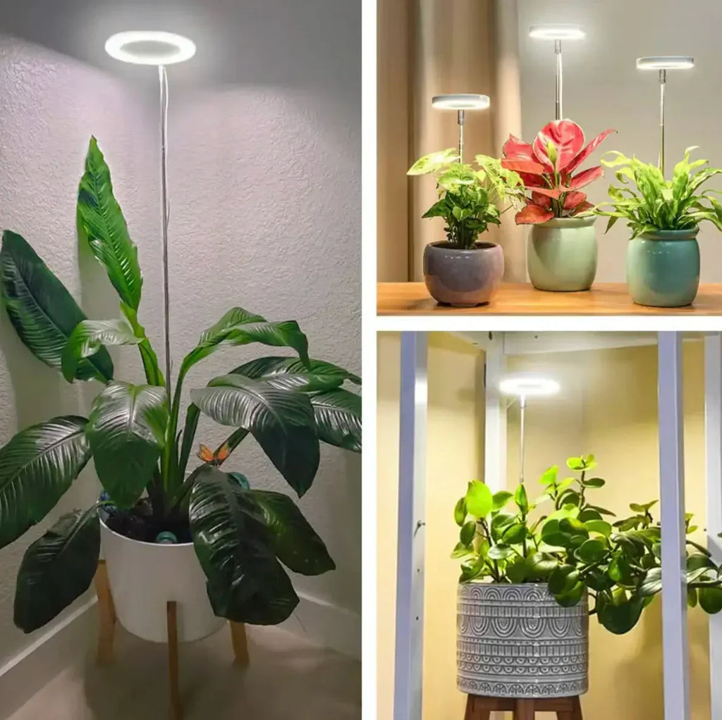 Lampada per piante | Luce di crescita a spettro completo | Timer e funzione di dimmerazione | PlantGlow