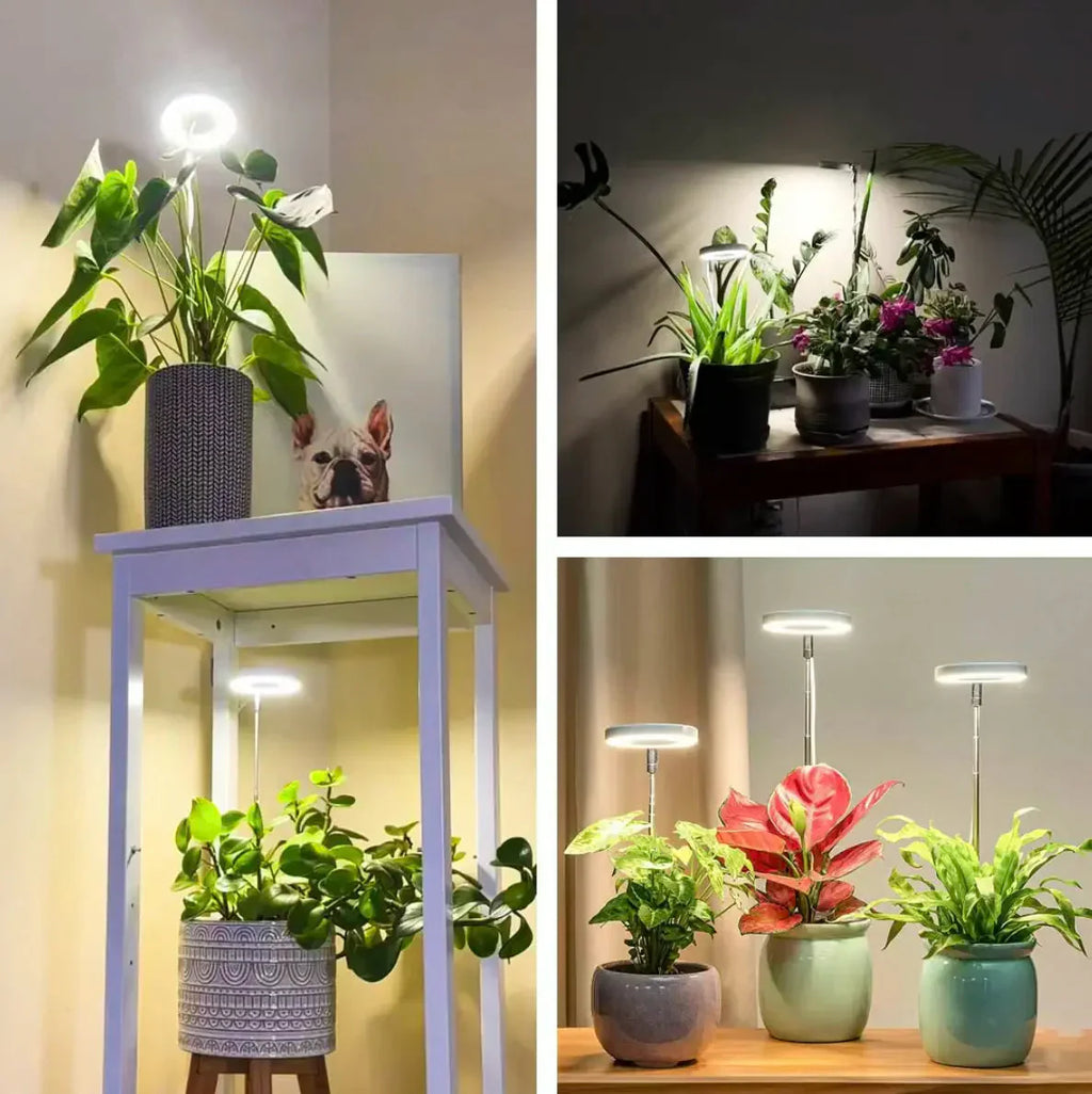 Lampada per piante | Luce di crescita a spettro completo | Timer e funzione di dimmerazione | PlantGlow