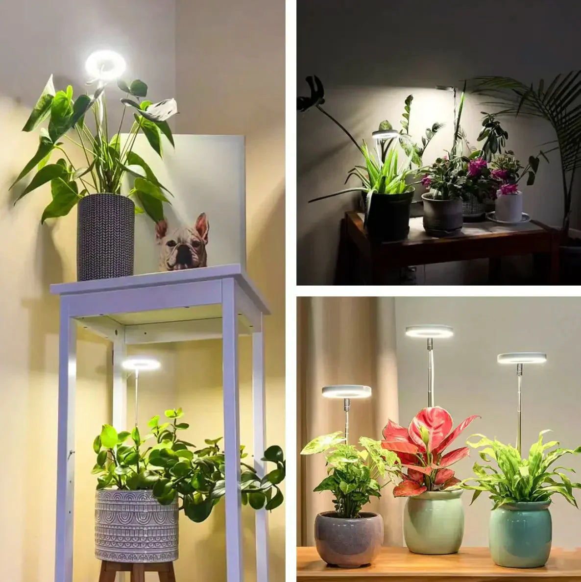 Lampada per piante | Luce di crescita a spettro completo | Timer e funzione di dimmerazione | PlantGlow