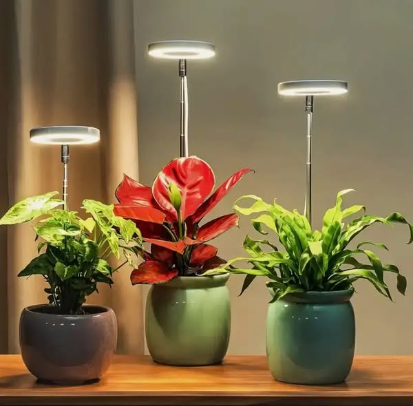 Lampada per piante | Luce di crescita a spettro completo | Timer e funzione di dimmerazione | PlantGlow
