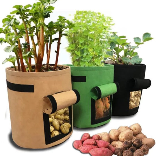 Sacco da pianta | Tessuto non tessuto traspirante | Finestra di raccolta con velcro | HarvestBag