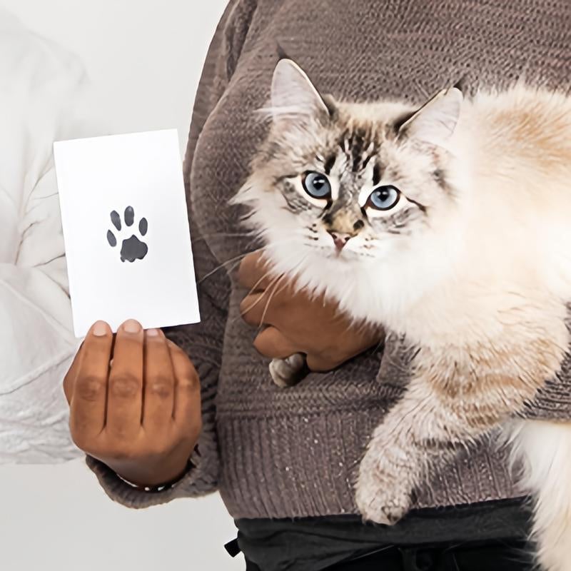 💖🐶🐱Kit per impronte di zampe