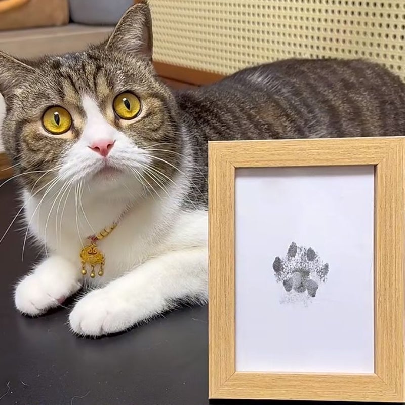 💖🐶🐱Kit per impronte di zampe