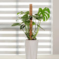 PlantSupport