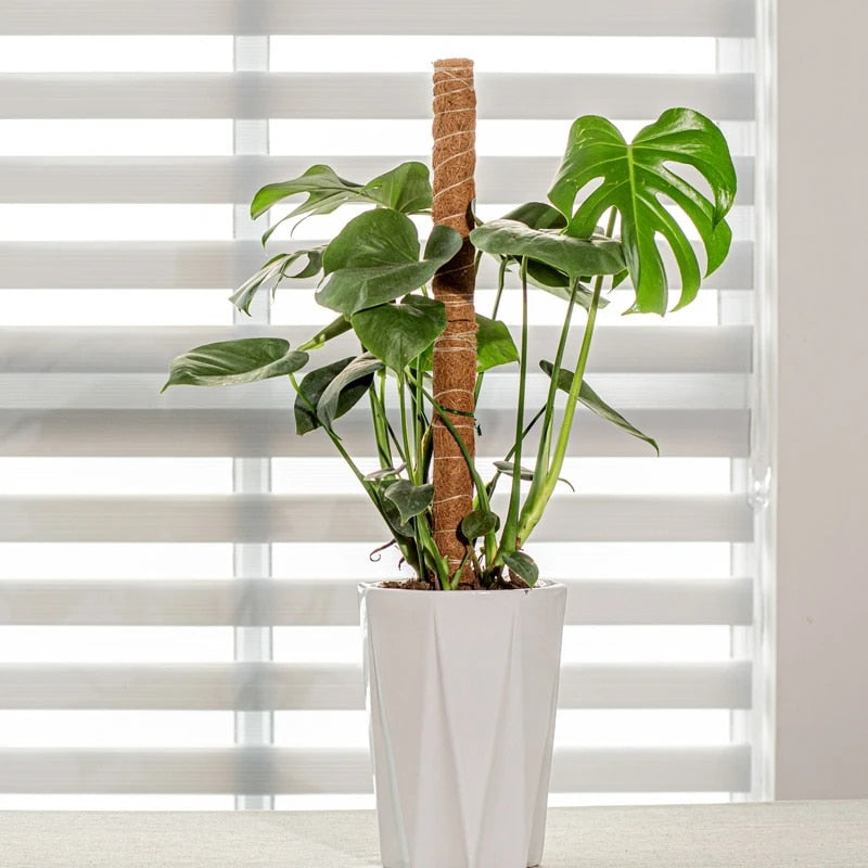 PlantSupport