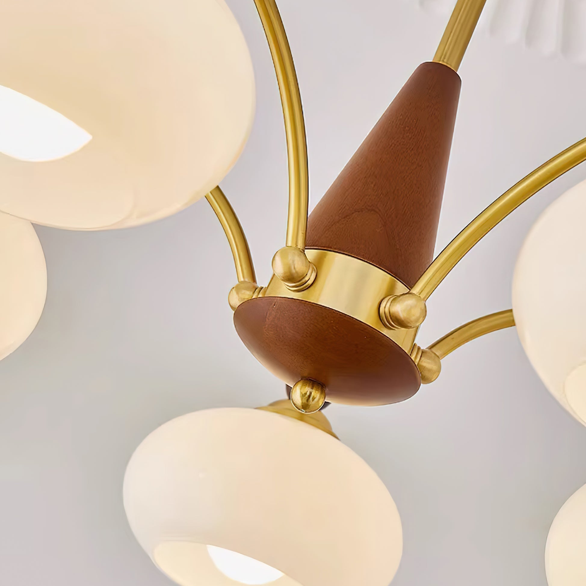 Elanorae | Lampadario in Legno e Ottone senza Tempo con Paralumi in Vetro Caldo