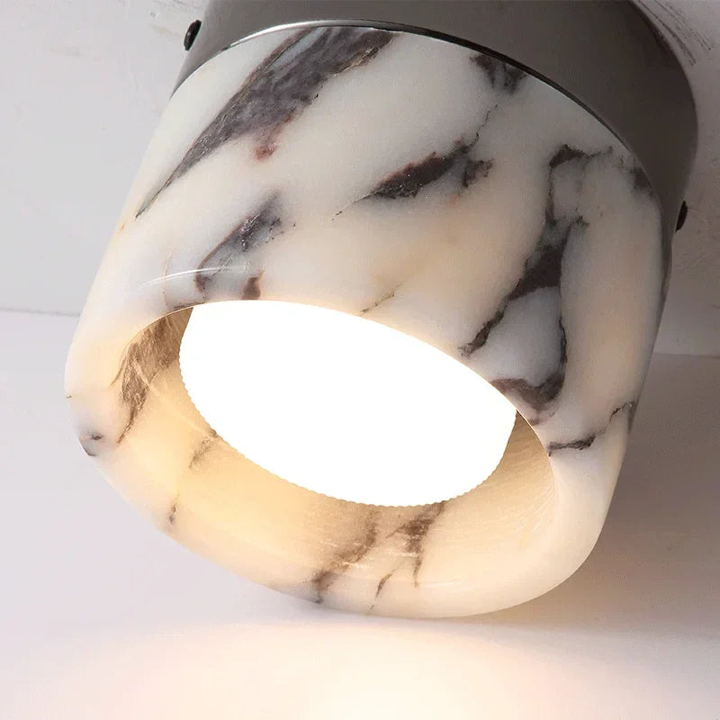 Erasmus Downlight