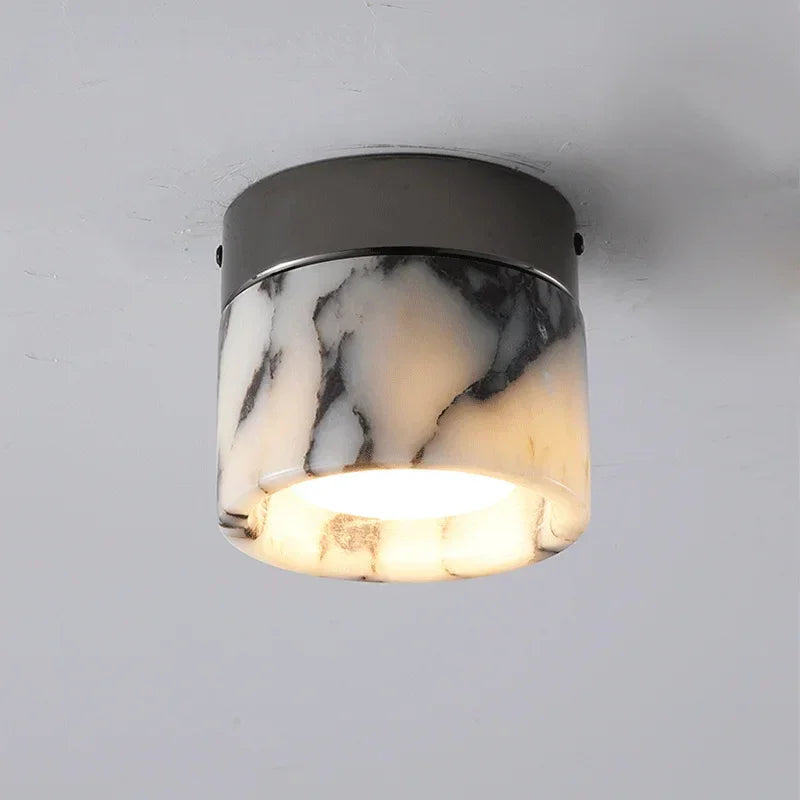 Erasmus Downlight