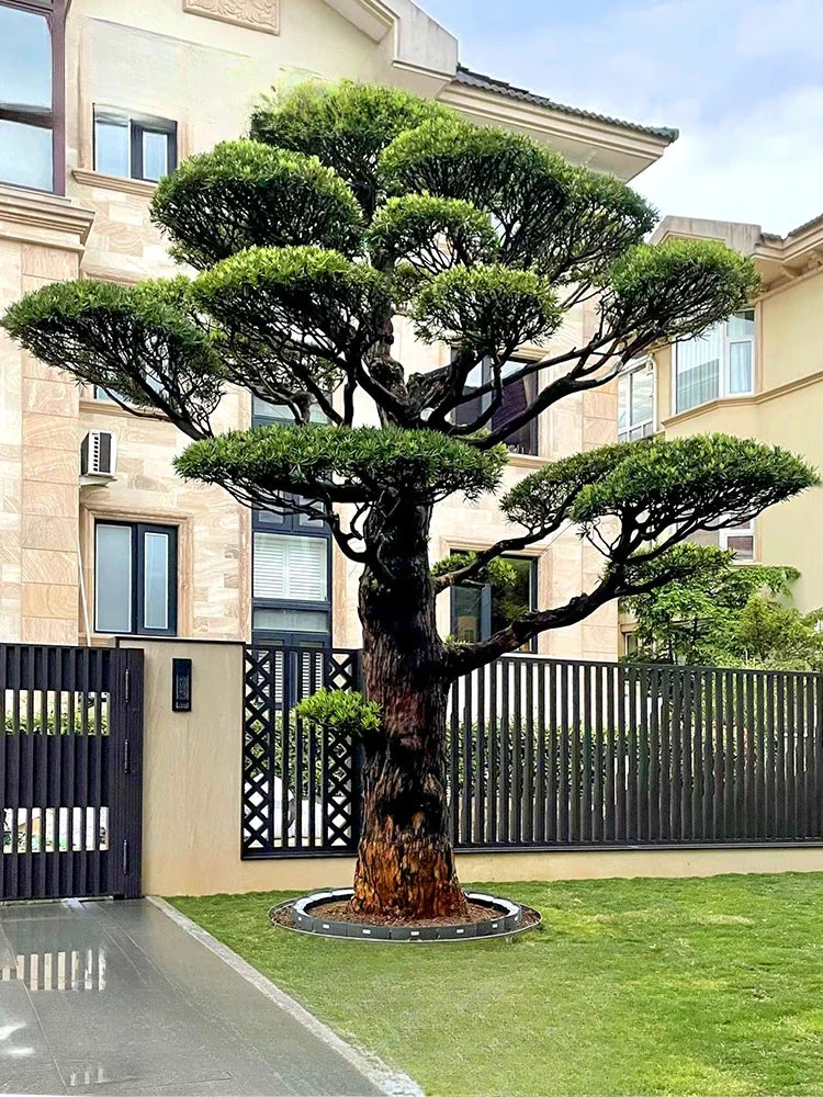 Valeris | Illuminazione LED per alberi con design a anello a terra da 360° e grado di protezione IP65 per giardini e paesaggi