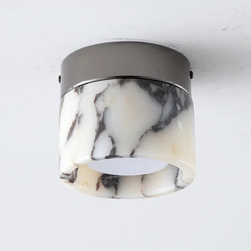 Erasmus Downlight