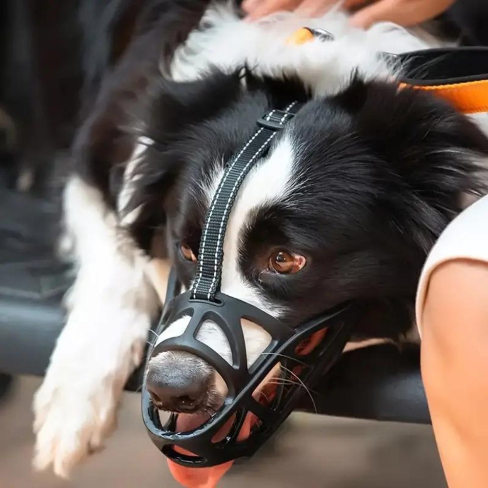 DOGORA – Muzzle per cani morbido per situazioni quotidiane sicure